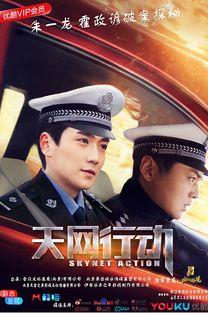 港剧天网在线观看,揭秘网络世界的正义守护者  第3张